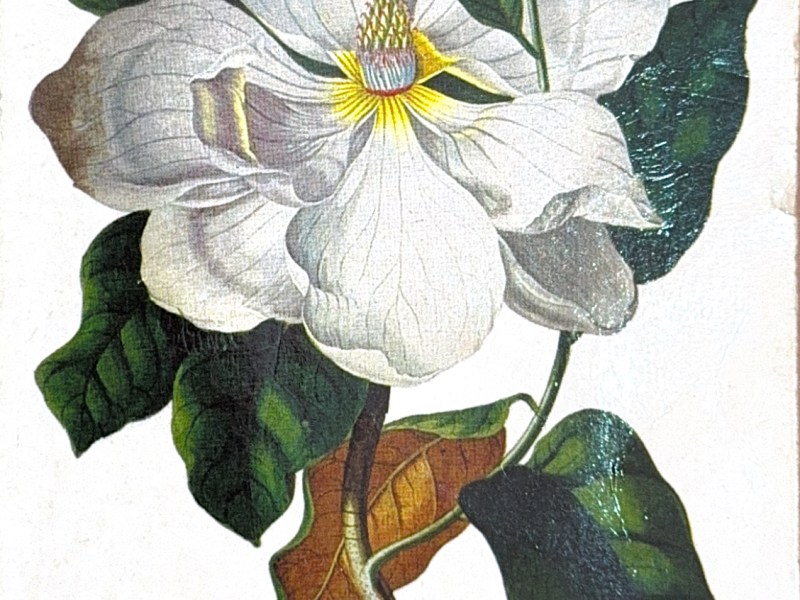 L&rsquo;Écume des Jours