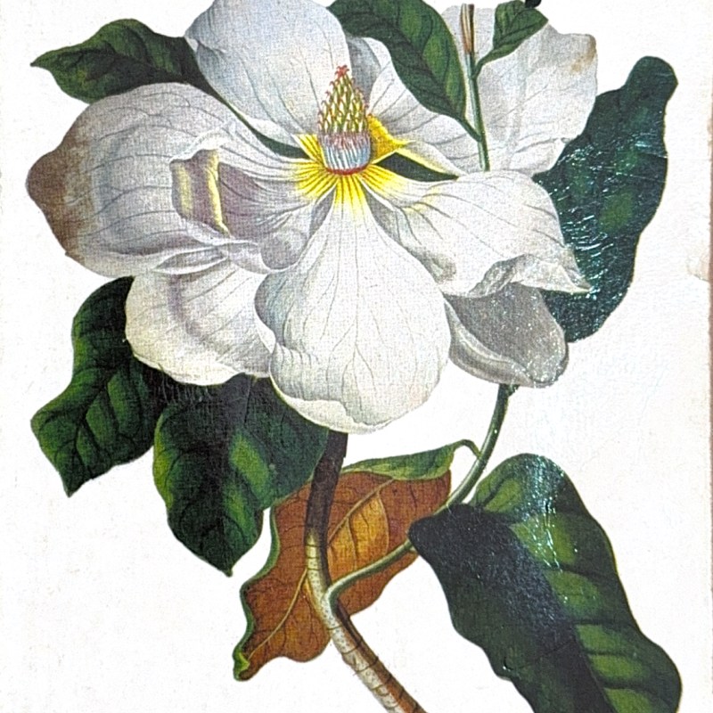 L&rsquo;Écume des Jours